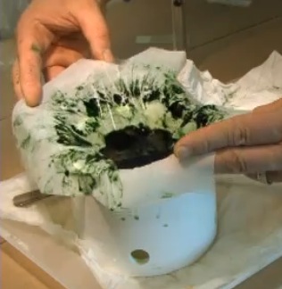 Marine algae paste Marine algae paste